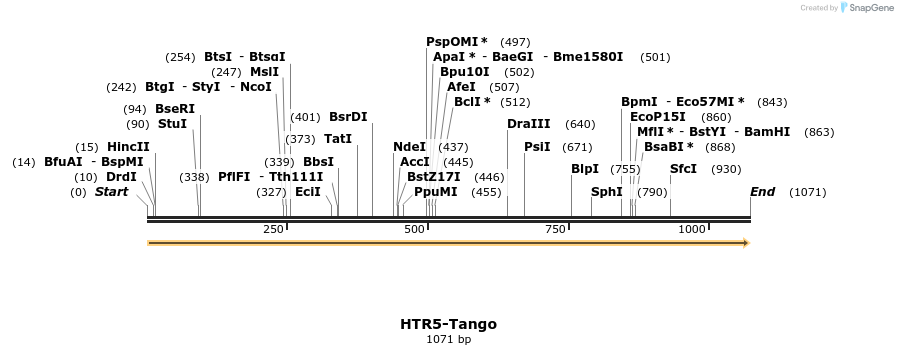 113440_map