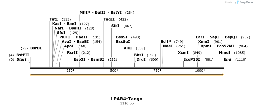 113454_map