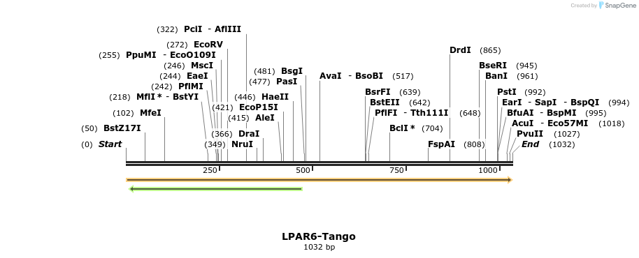 113458_map