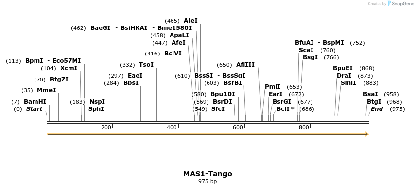 113464_map