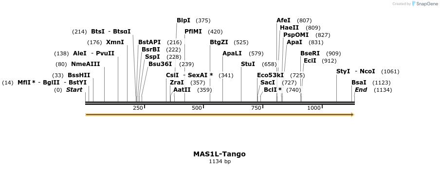 113466_map