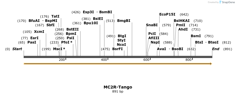 113470_map