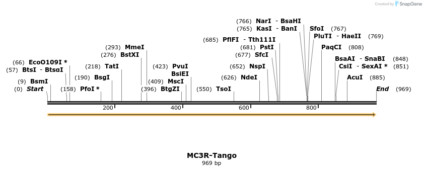 113472_map