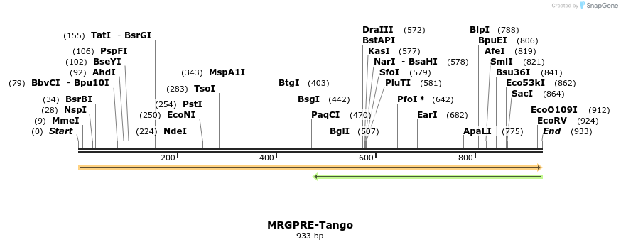 113486_map