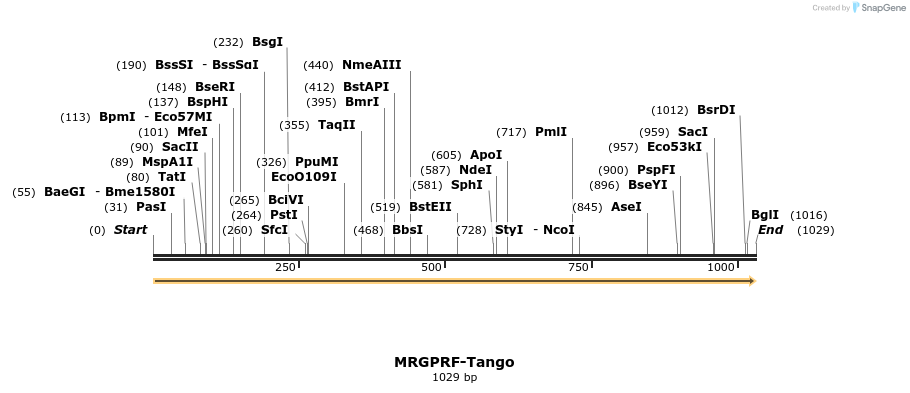 113488_map