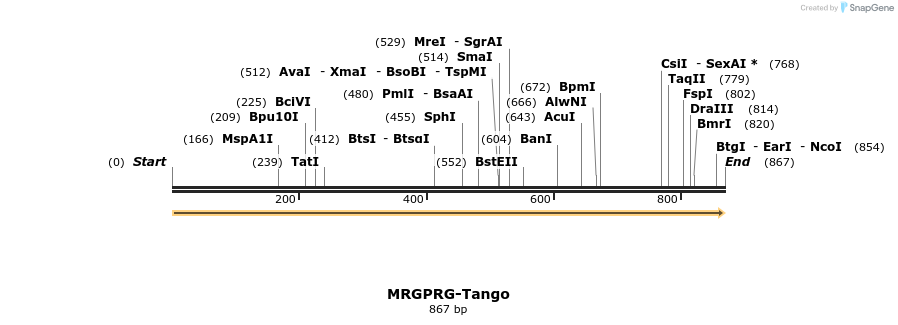 113490_map