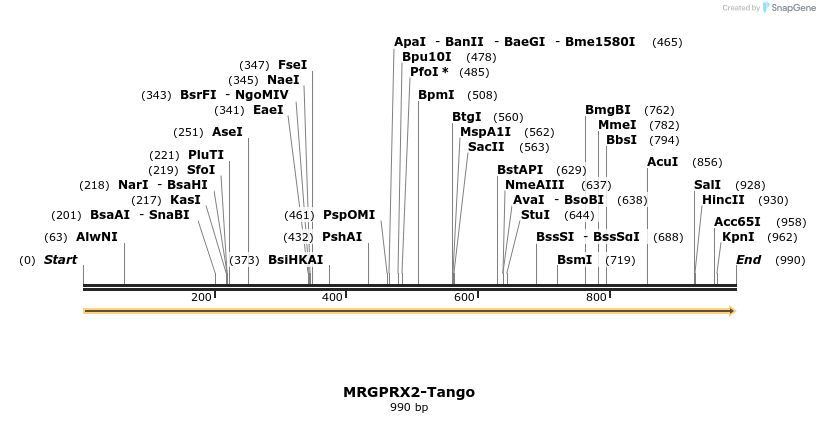 113494_map