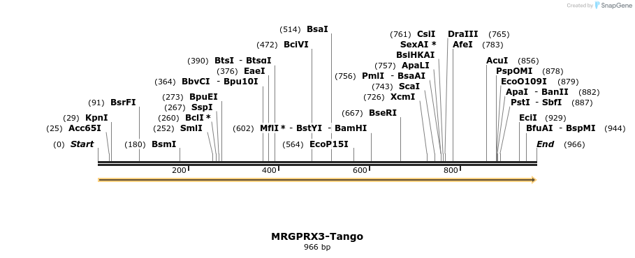 113496_map