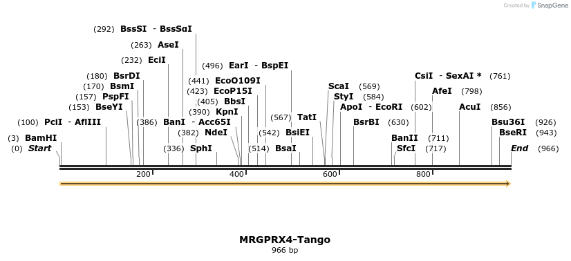 113498_map