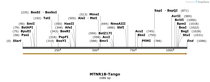 113502_map