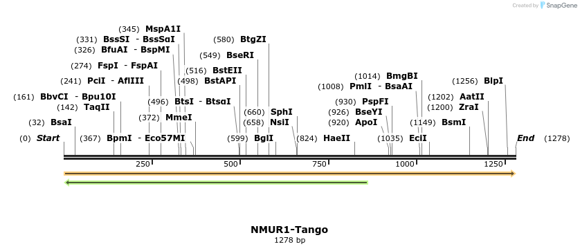 113506_map