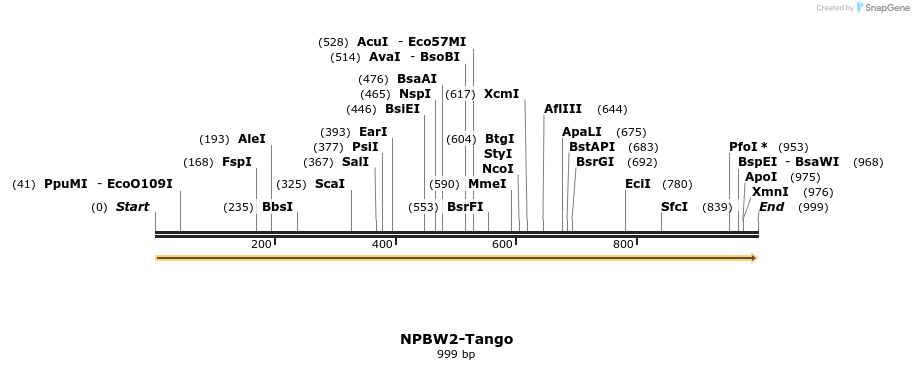 113512_map