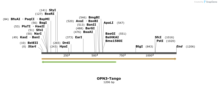 113532_map