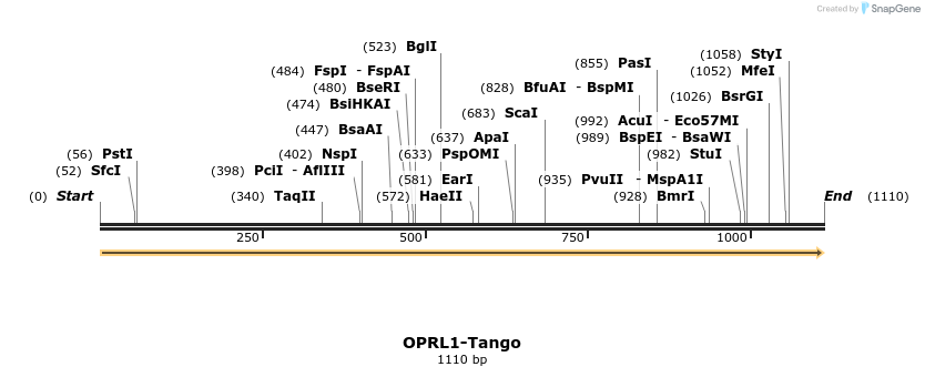 113540_map