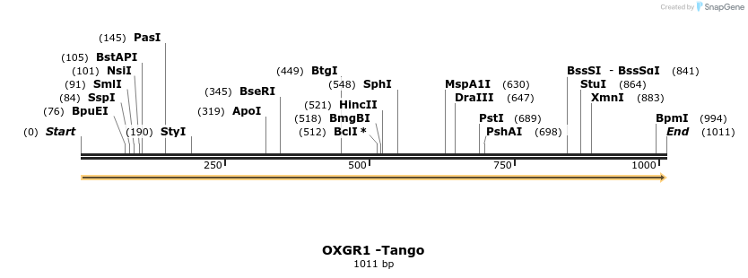 113546_map