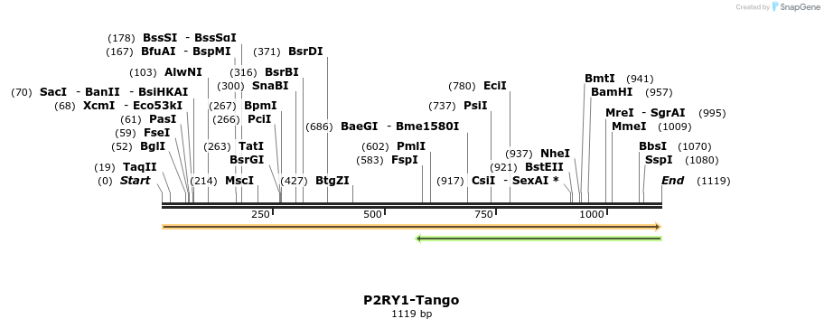 113550_map