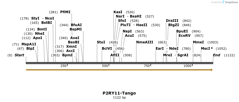 113554_map