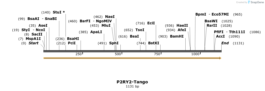 113562_map
