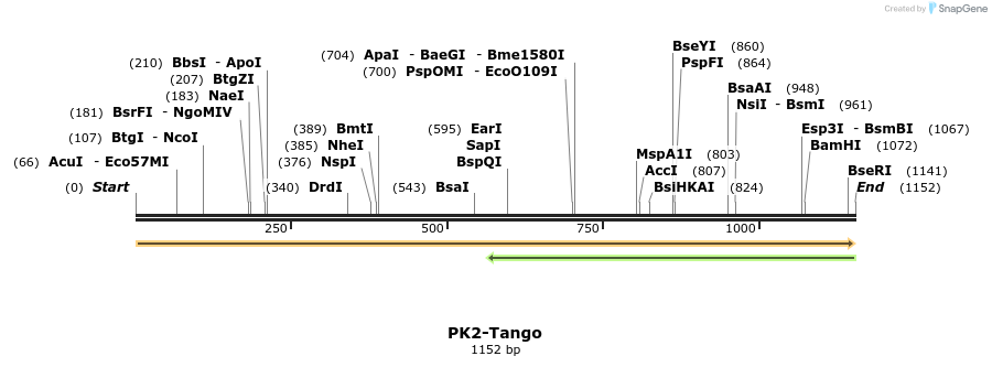 113572_map