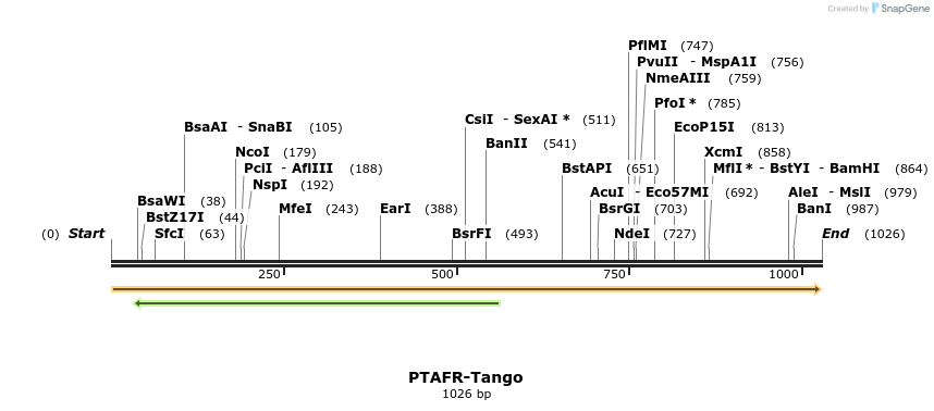 113576_map