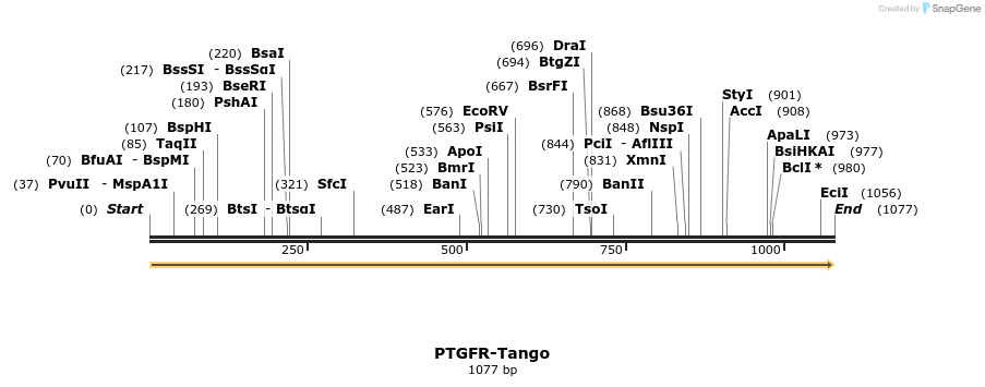 113588_map