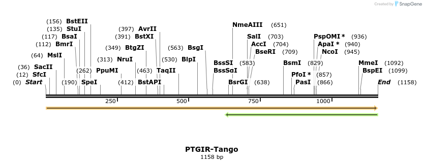 113590_map