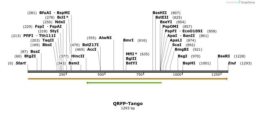 113596_map