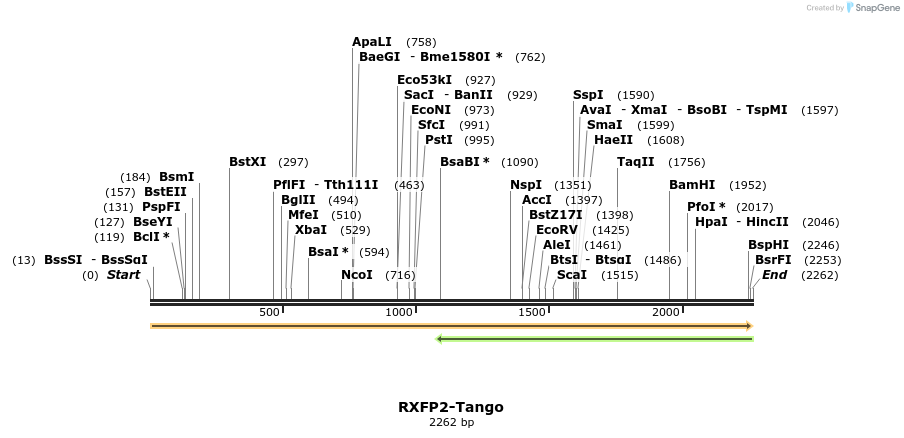 113600_map