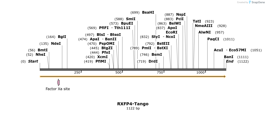 113604_map