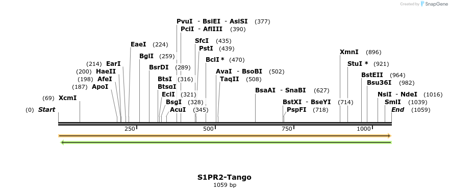 113608_map