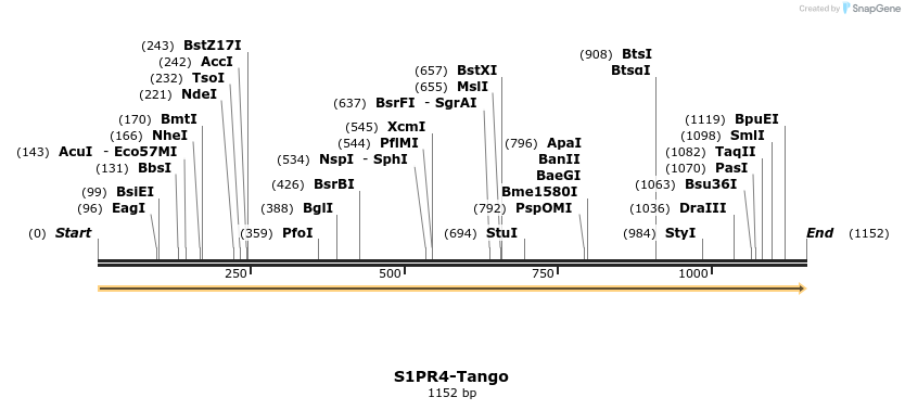 113612_map