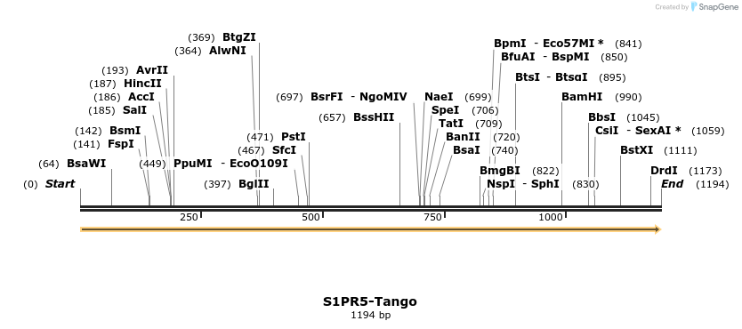 113614_map