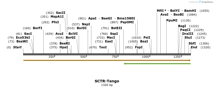 113616_map