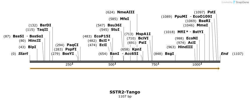 113620_map