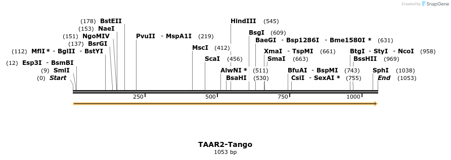 113632_map