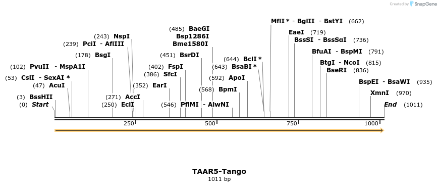 113634_map