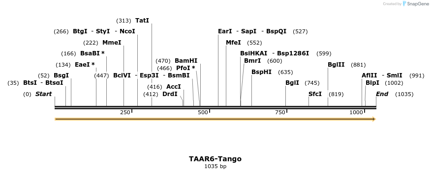 113636_map