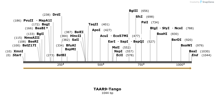 113640_map