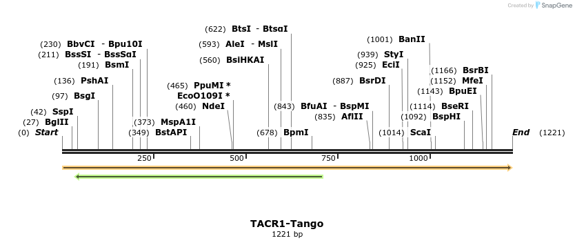 113642_map