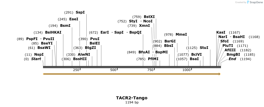 113644_map