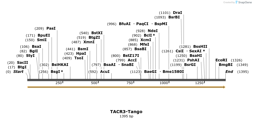 113646_map