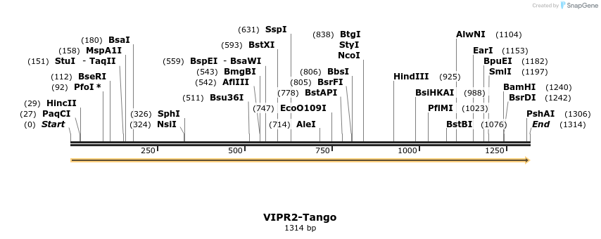 113656_map