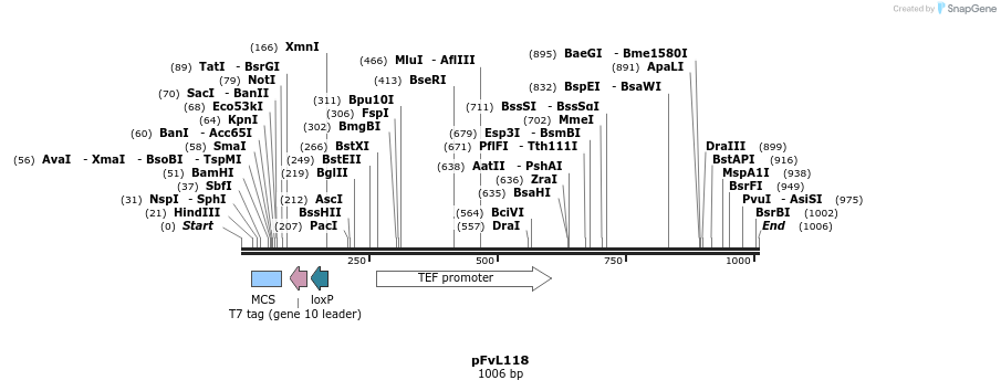 113659_map