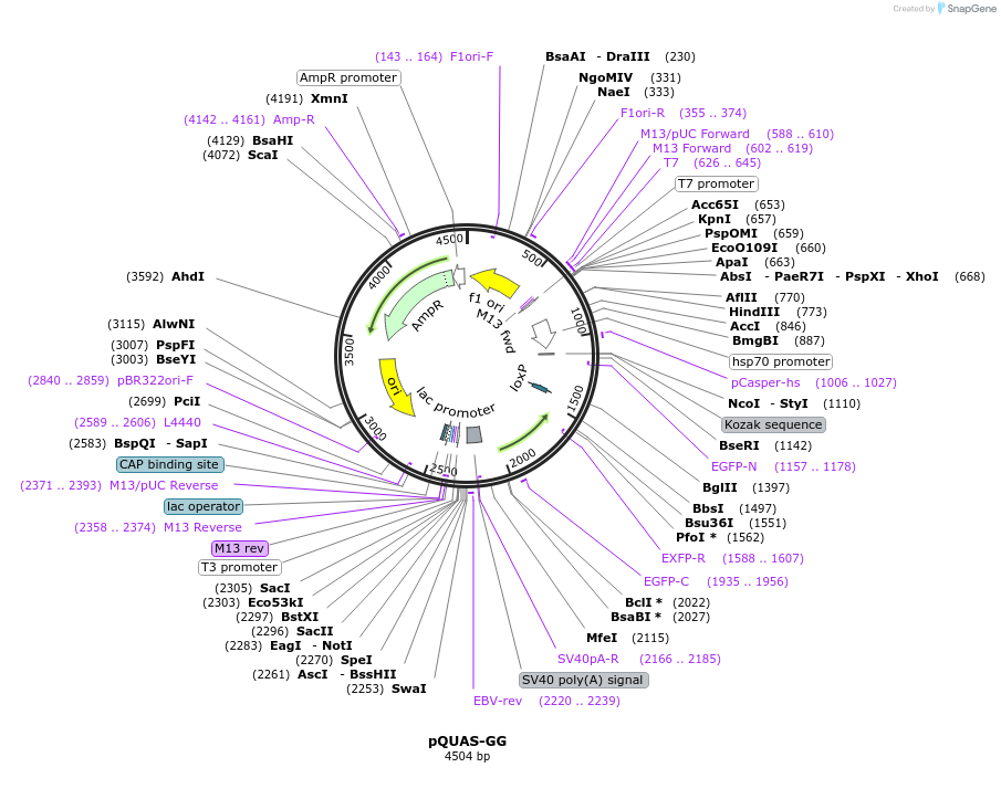 11368_map