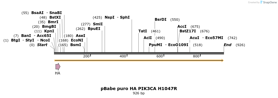113688_map