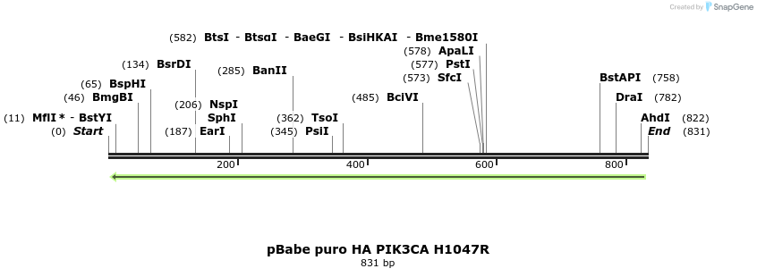 113692_map