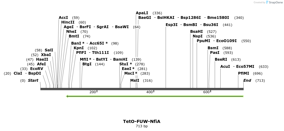 113693_map
