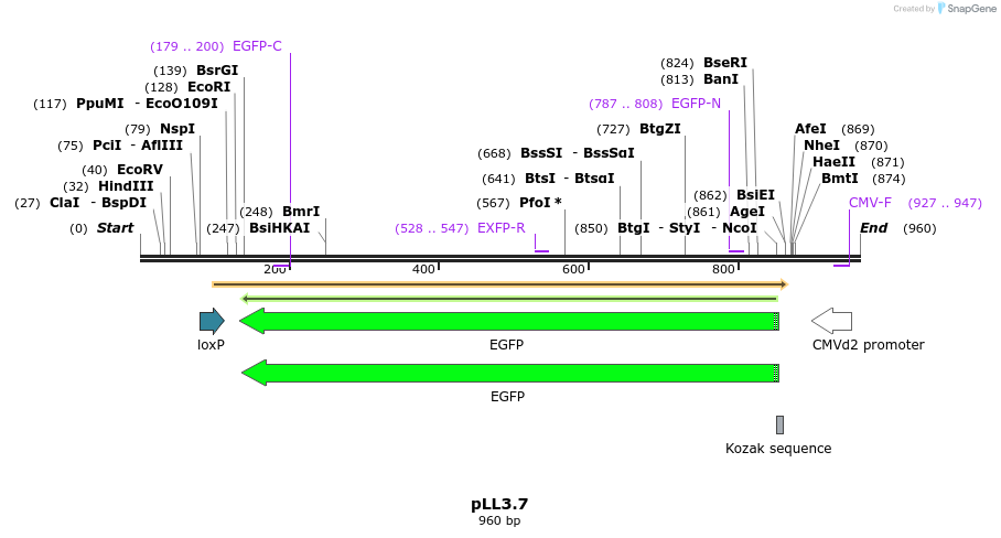 113695_map