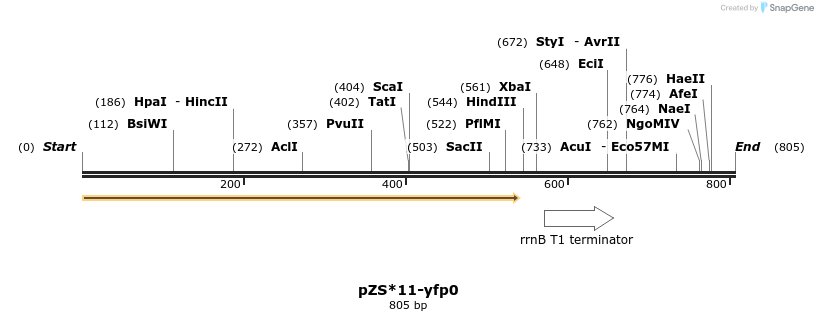 113710_map