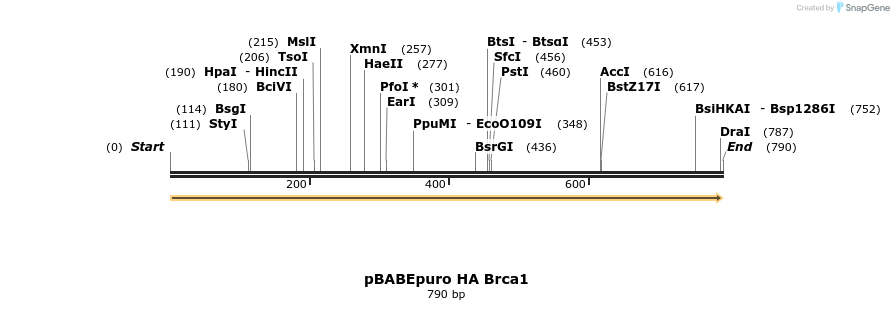 113716_map